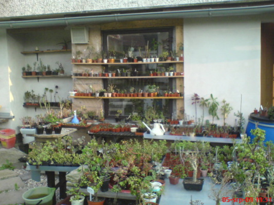 DSC01987.JPG