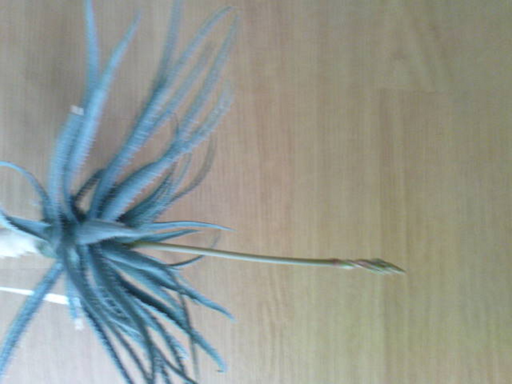 DSC00044.JPG